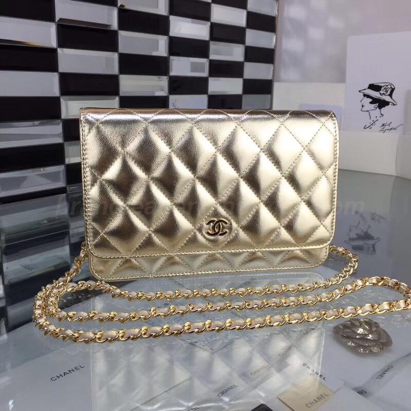 Chanel Handbags 213